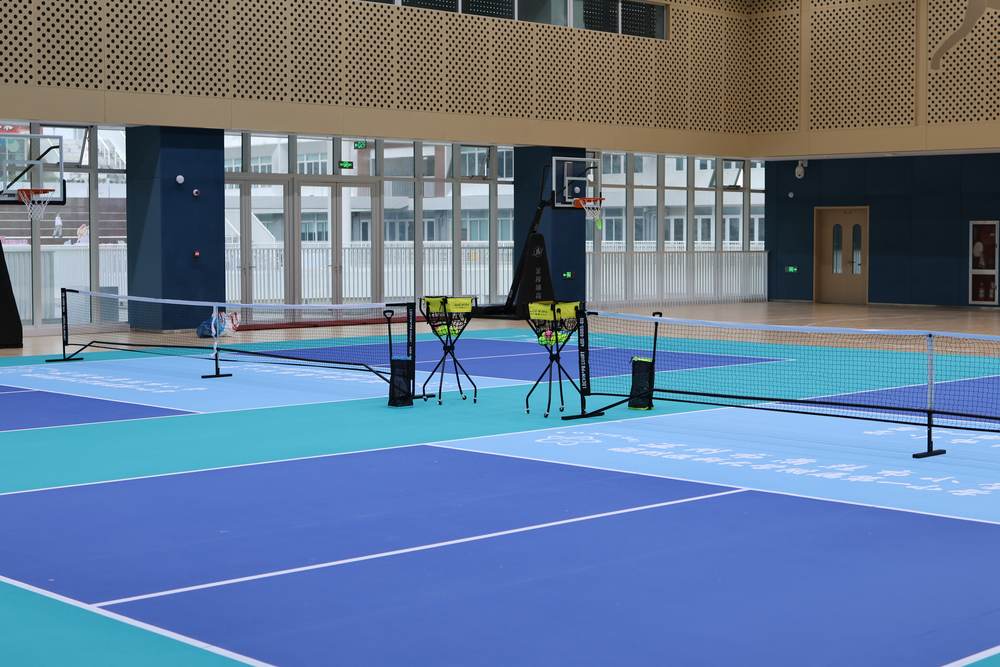蒲鞋市小学匹克球课堂参考