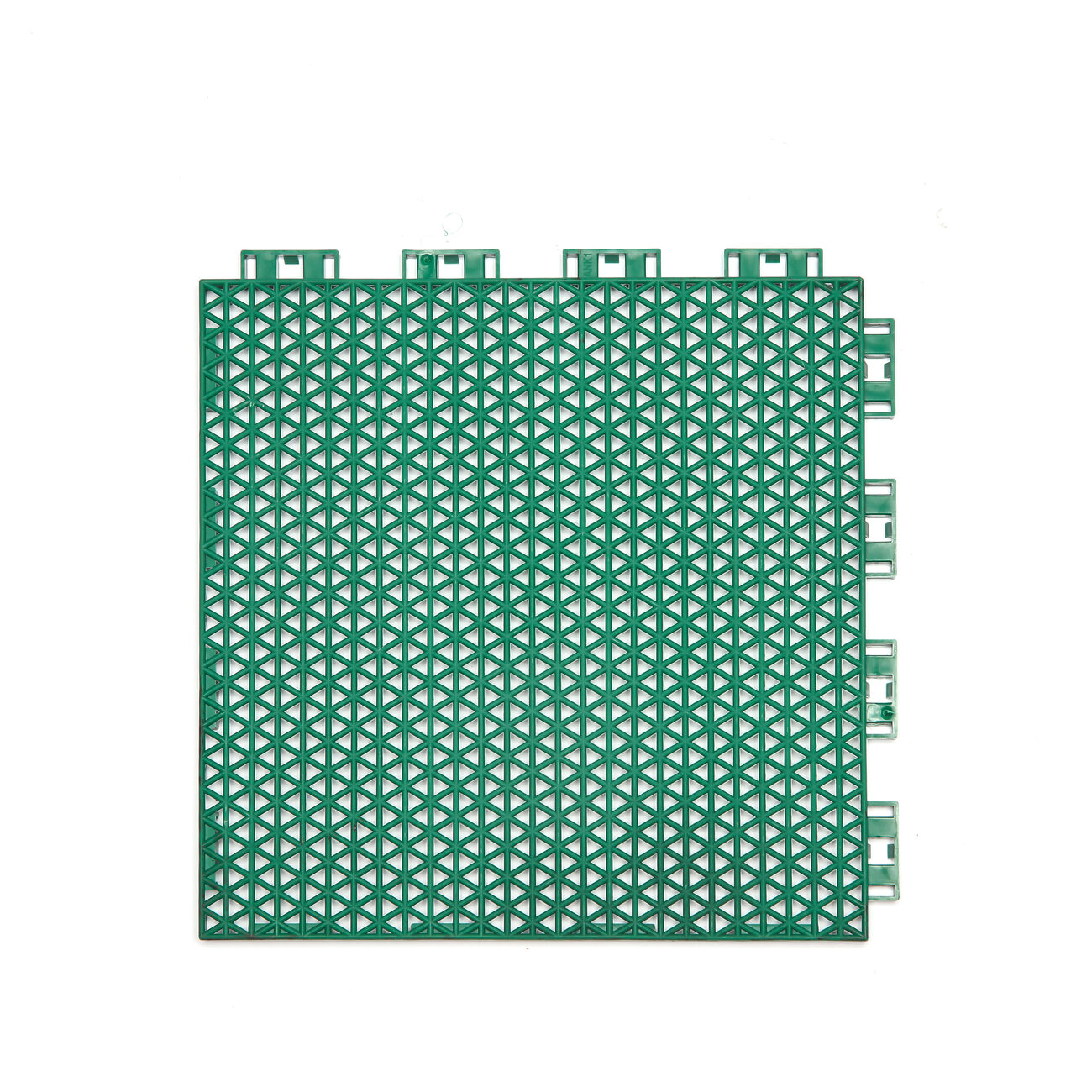 ANK1F 表面三角网格纹理俯拍